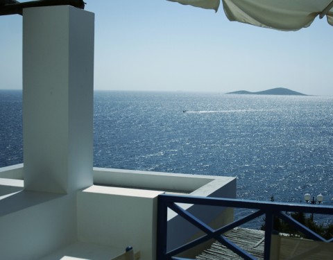 ΠΕΤΟΥΝΙΑ