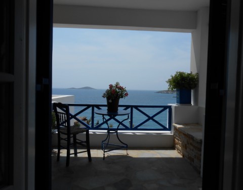 ΠΕΤΟΥΝΙΑ