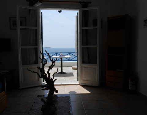 ΠΕΤΟΥΝΙΑ